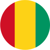 Guinea Visa