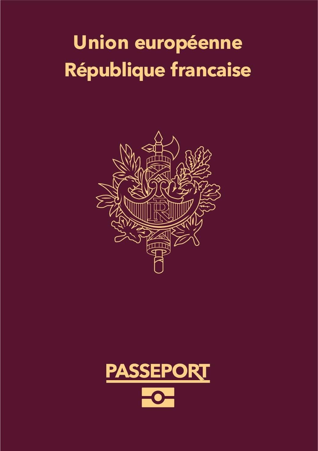 French Passport / CNI