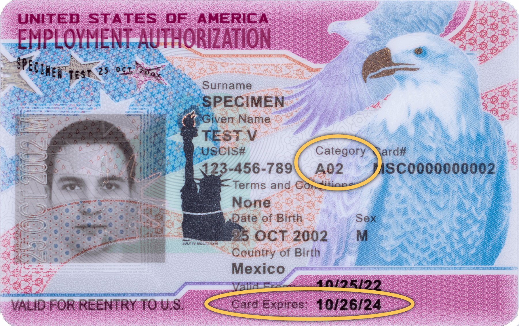 Employment Authorization Document